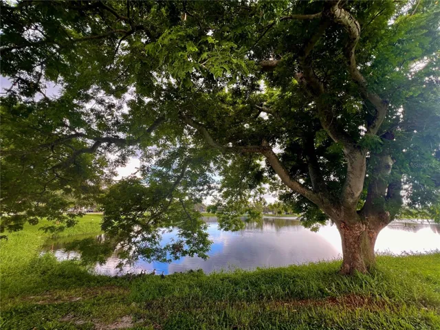 Mature trees and ducks! give the grounds a park like setting!