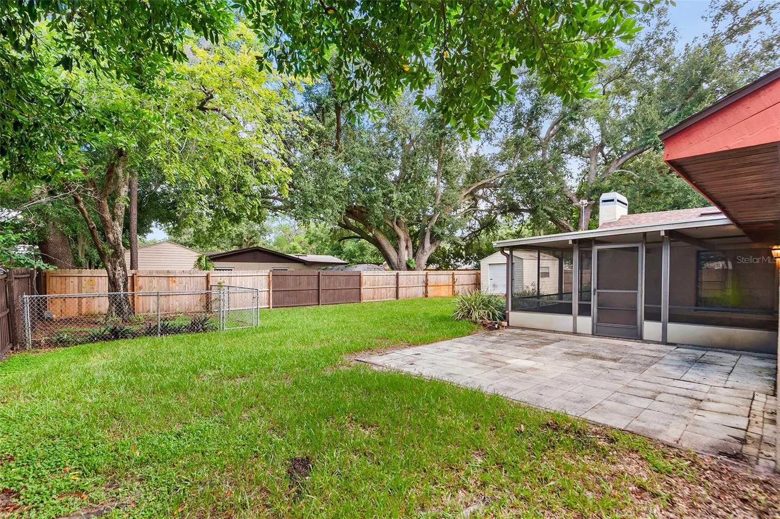 Lovely and spacious backyard!