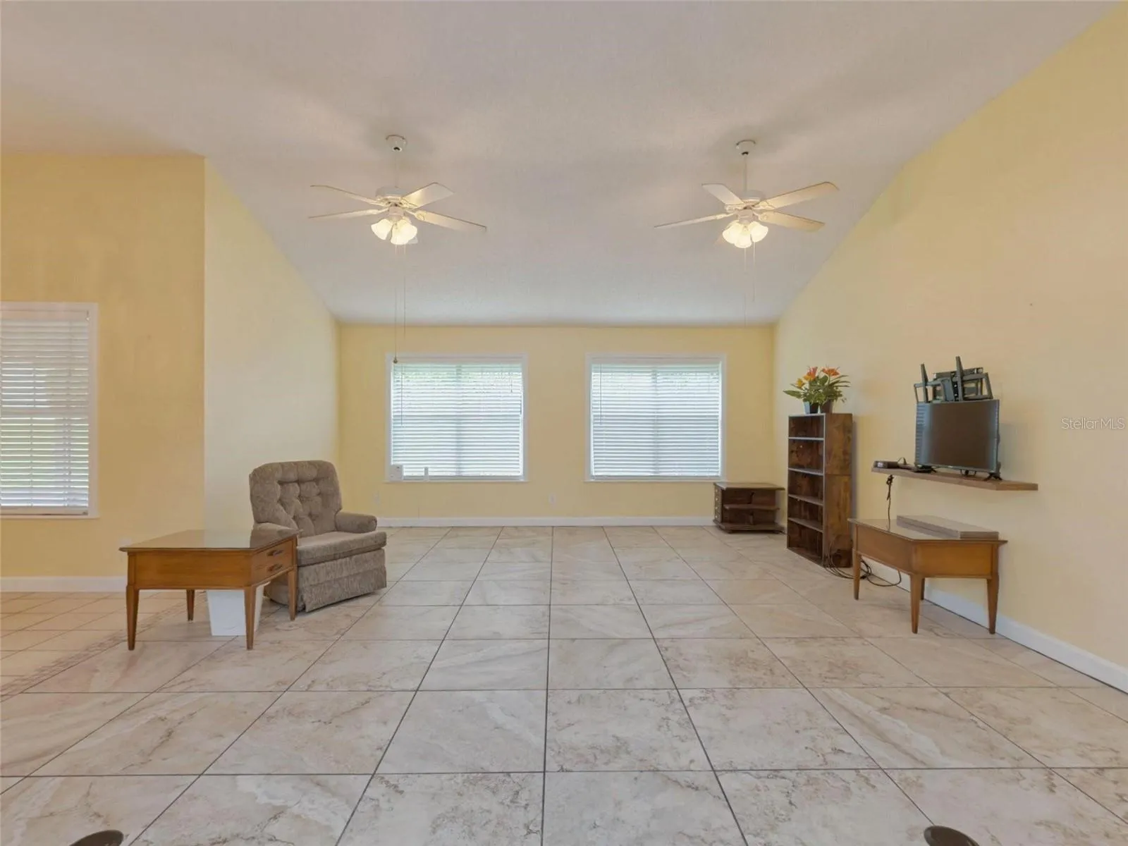large living room /dining combo