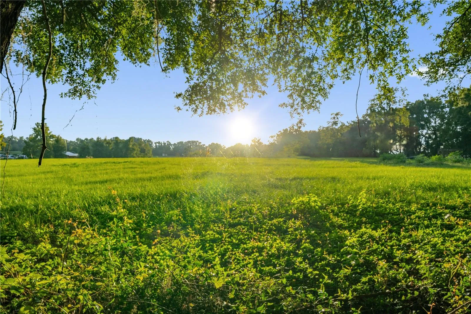 Natural Beauty