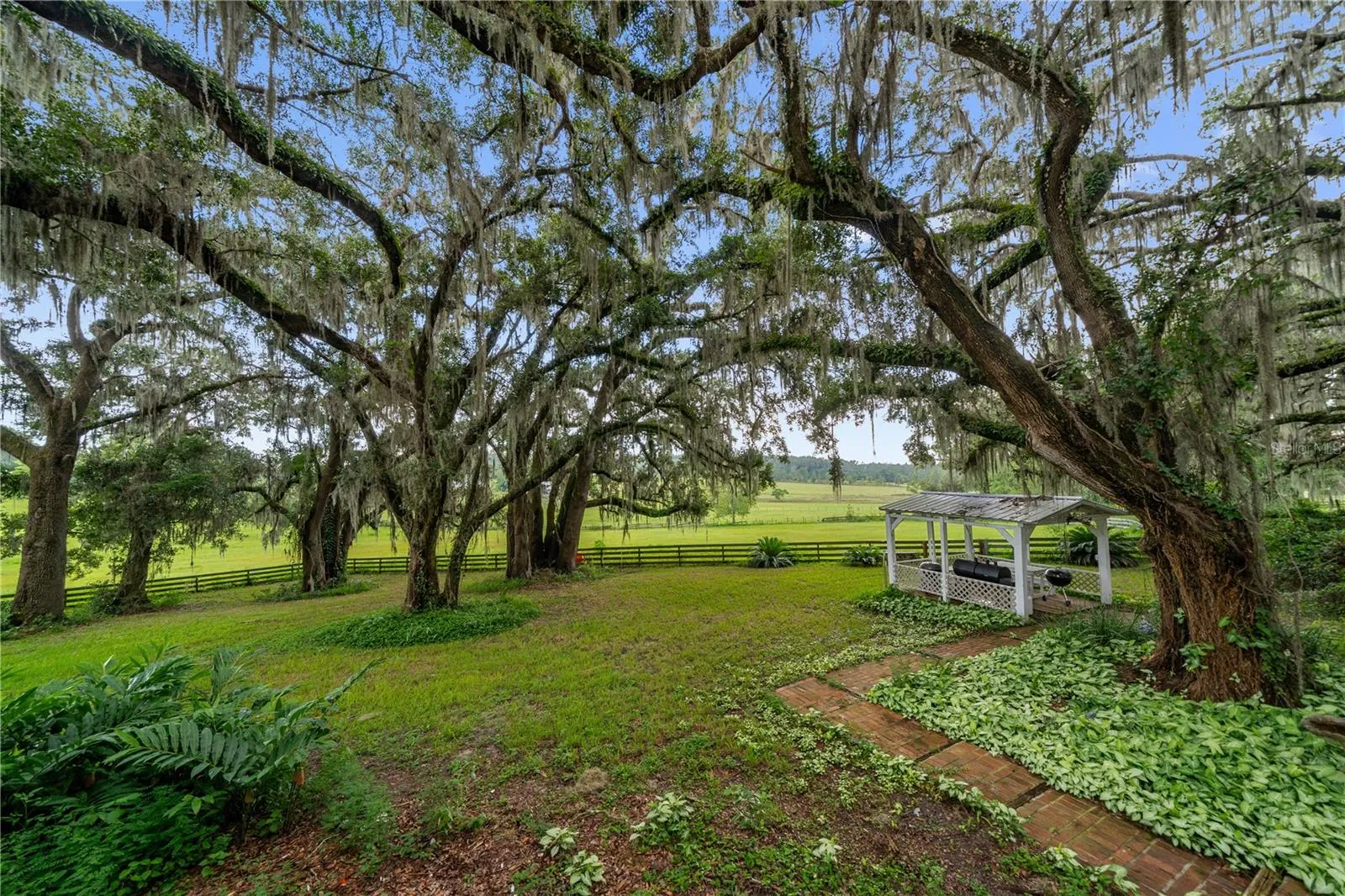 Scenic backyard with majestic oak trees draped in Spanish moss, a covered gazebo, and beautiful views of the surrounding pasture.