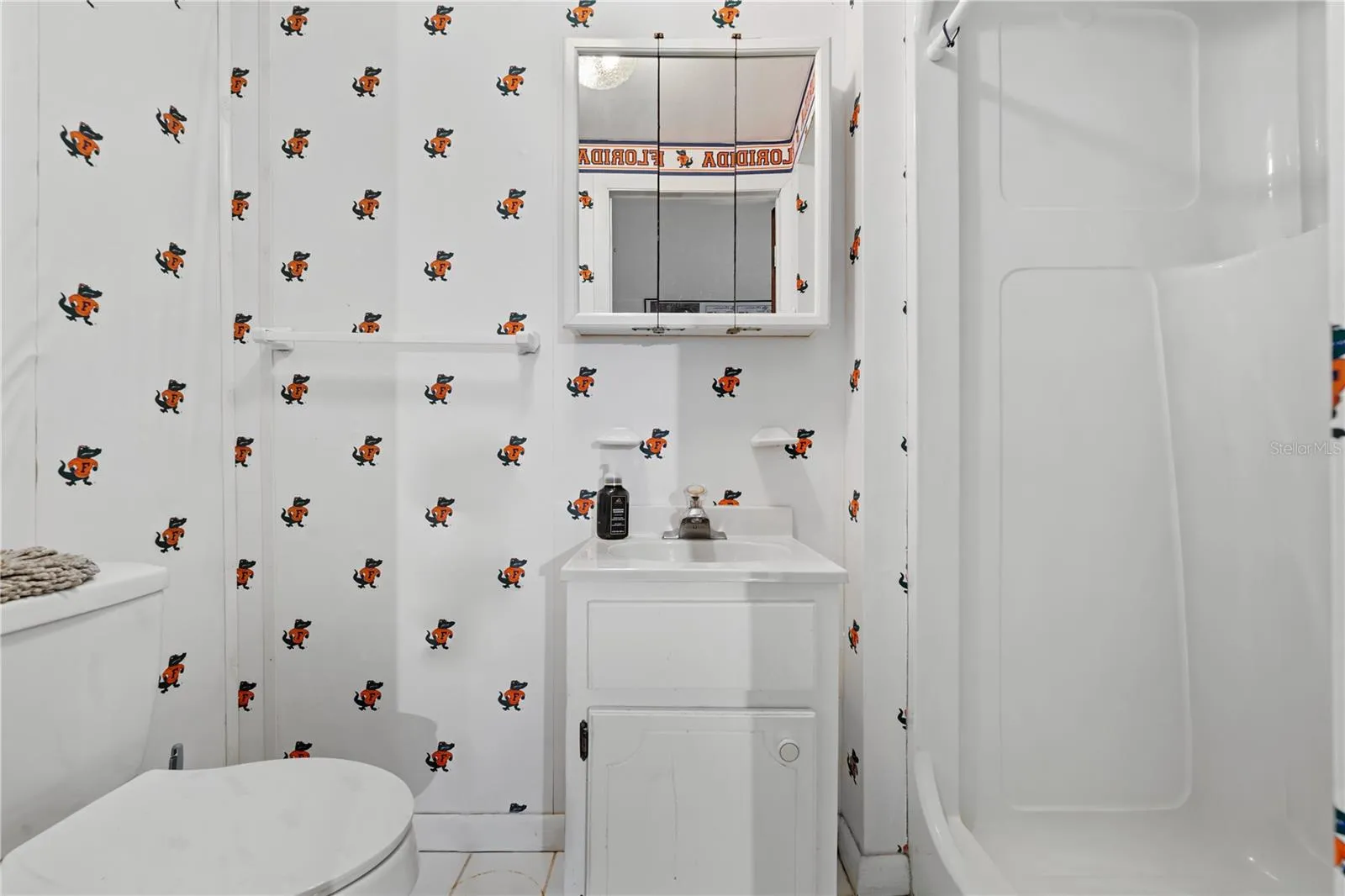 Downstairs Bathroom in Bonus Room.
