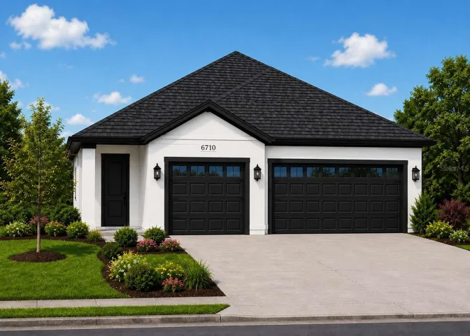 Street View Rendering