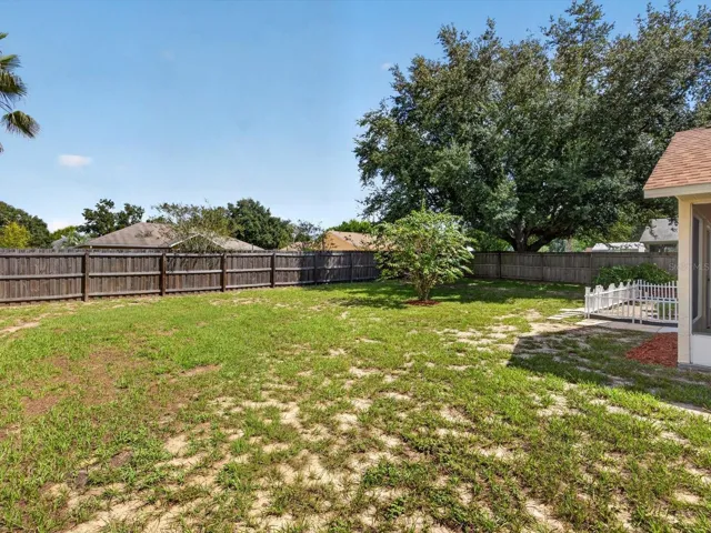 Fenced Back Yard