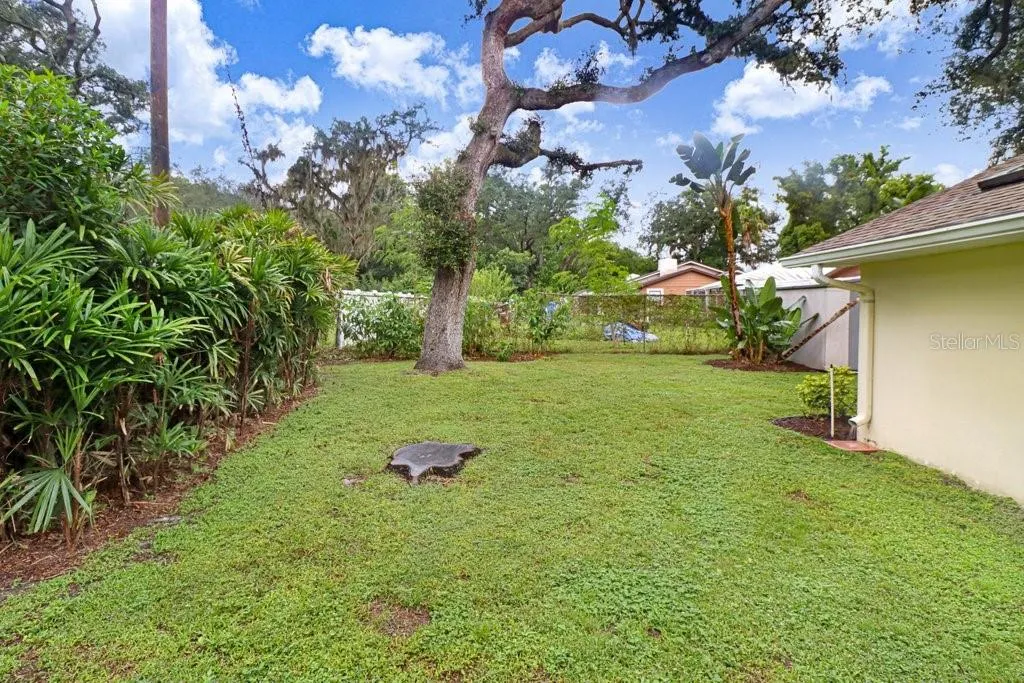 Back Yard