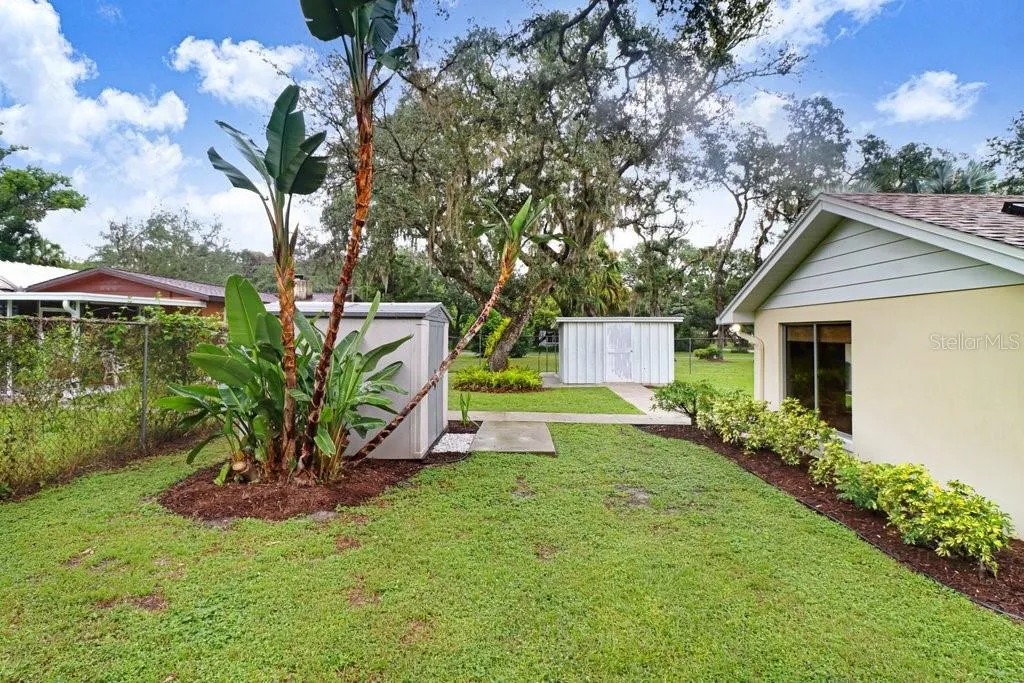 Backyard with shed