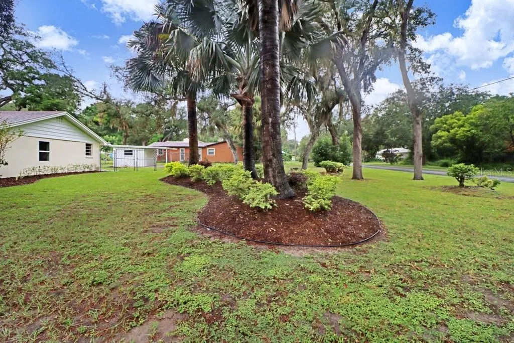 Side Yard