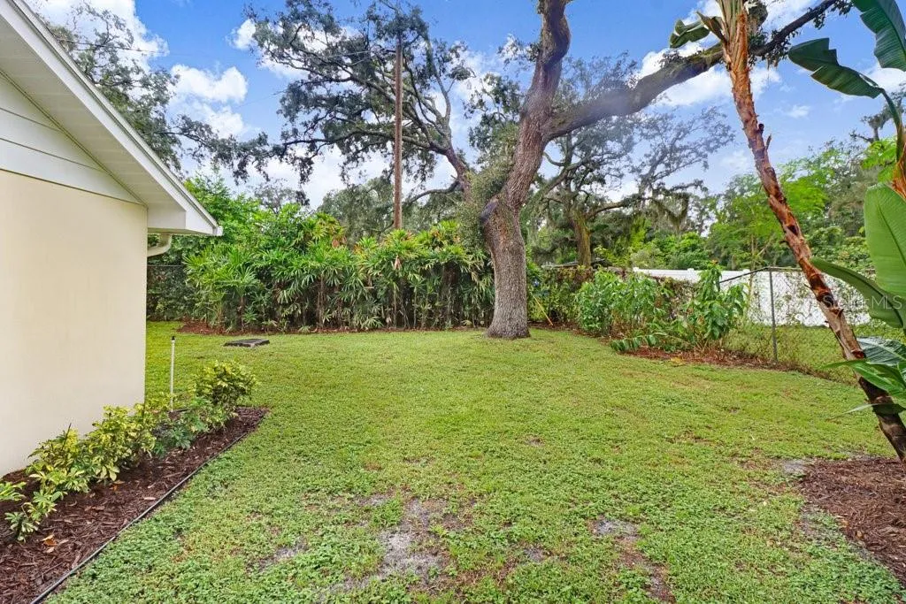 Back Yard