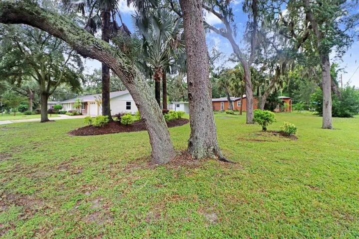 Side Yard