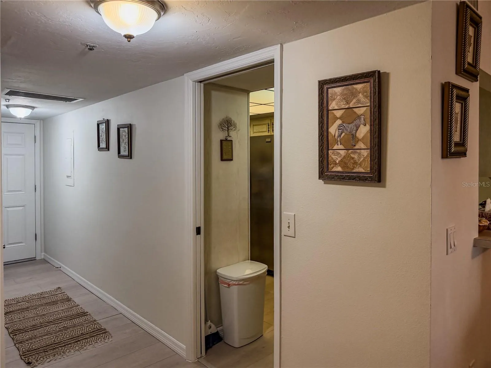 View of Hallway to Front Door