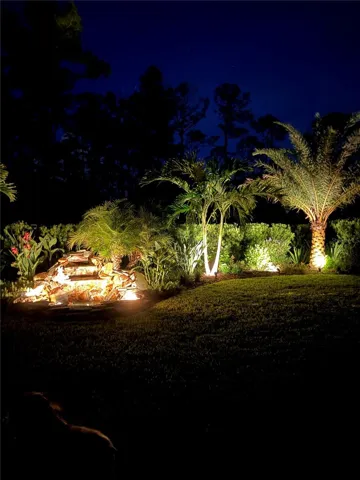 Backyard at night