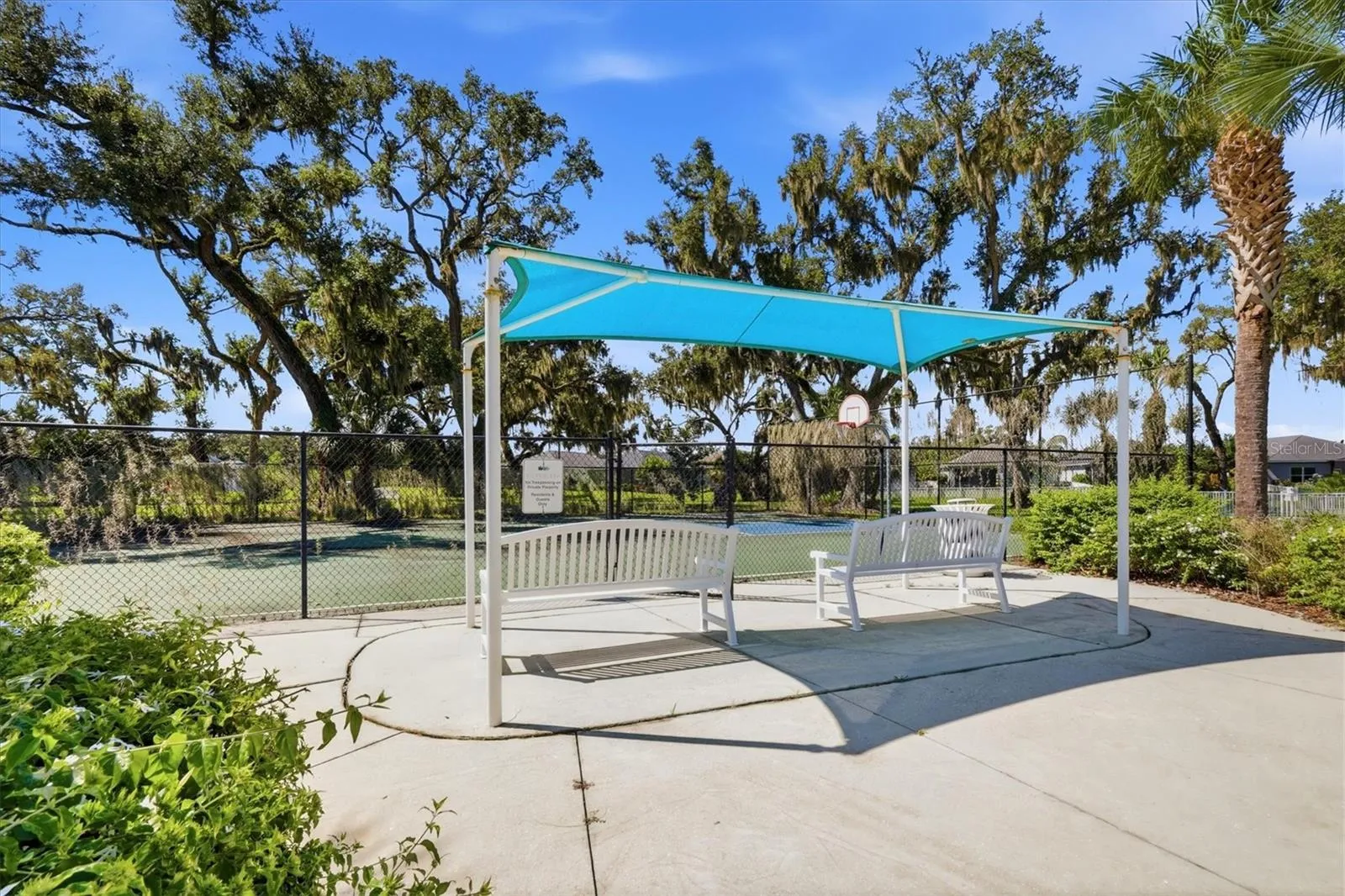 Basketball Court