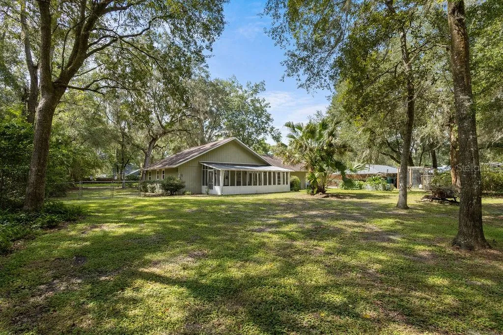 Backyard