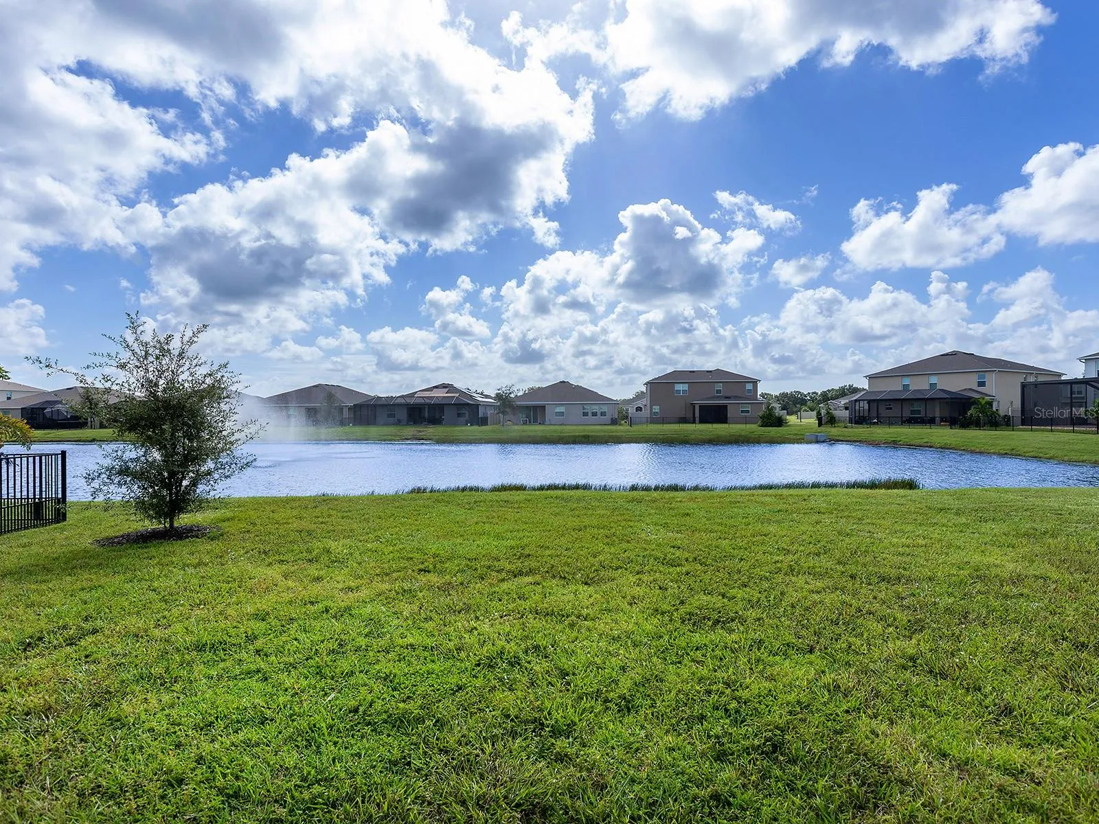 Lake views