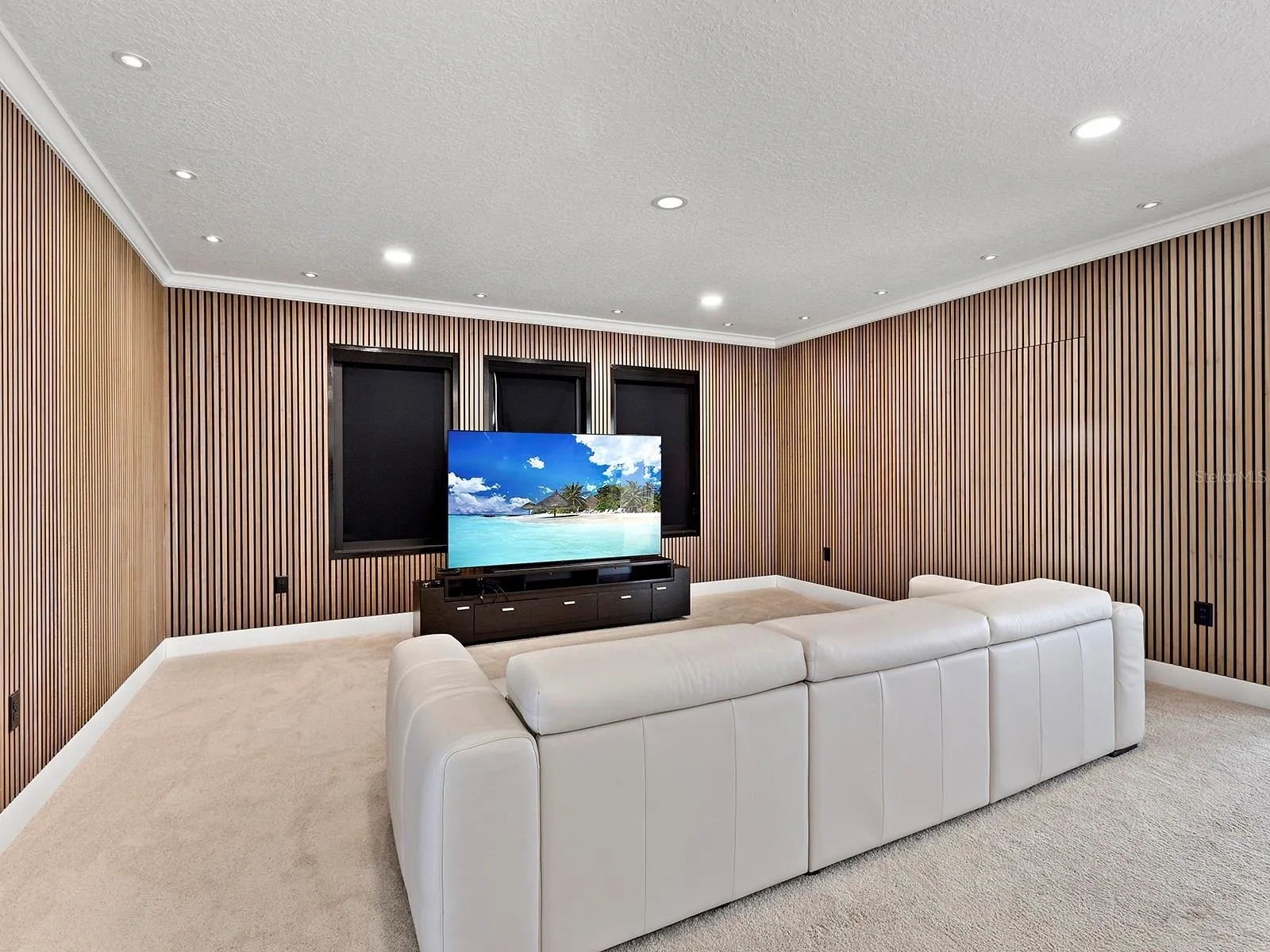 Great media room