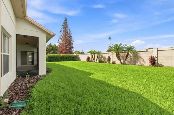 Spacious Backyard