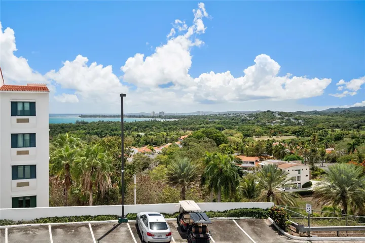 Ocean and Rainforest views
