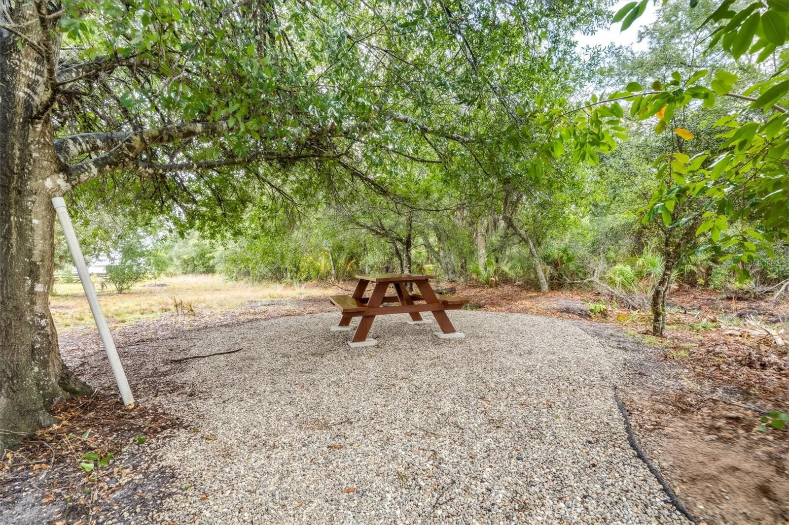 Shaded Picnics Too