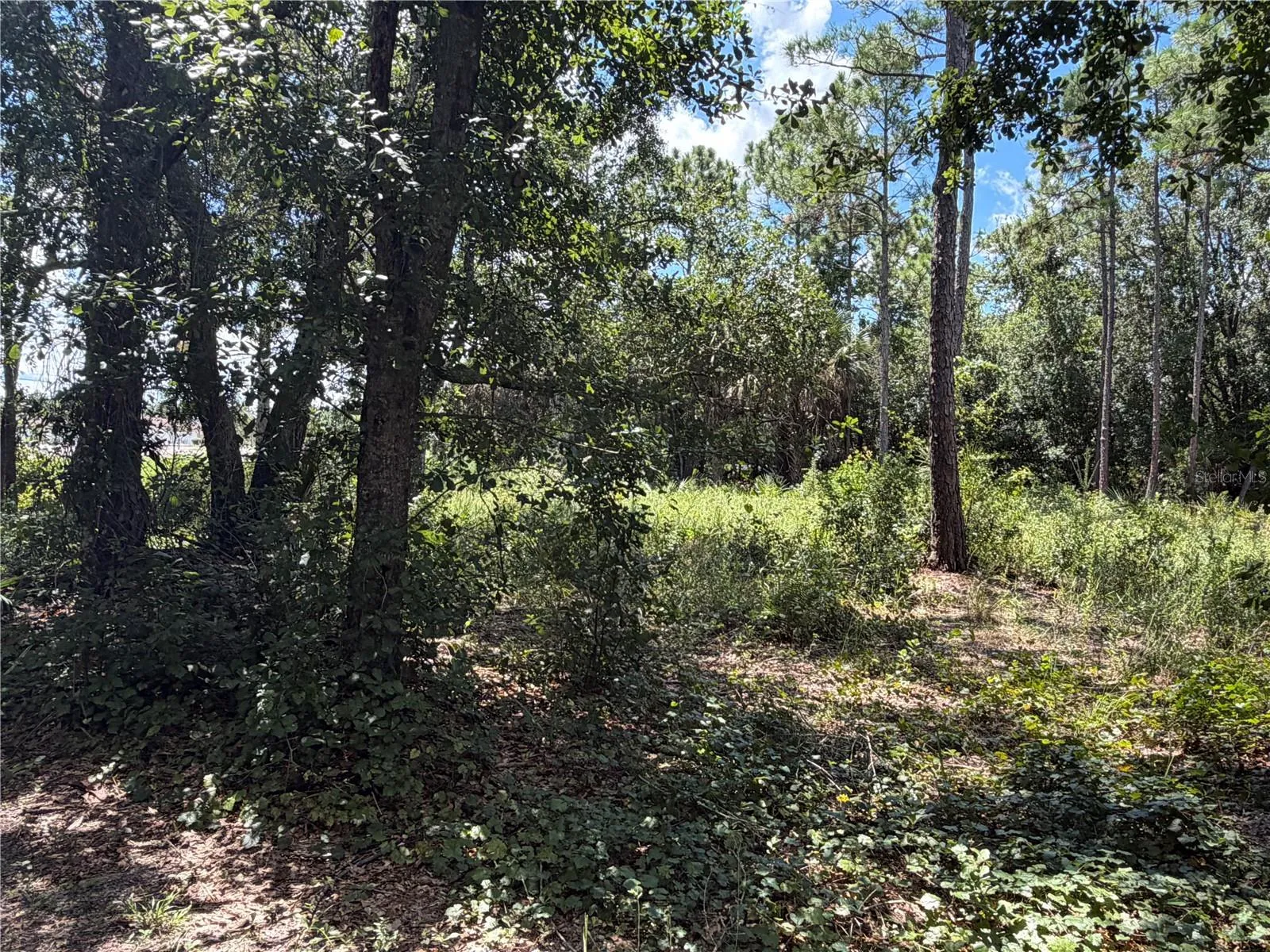 Creek Side Left View 1