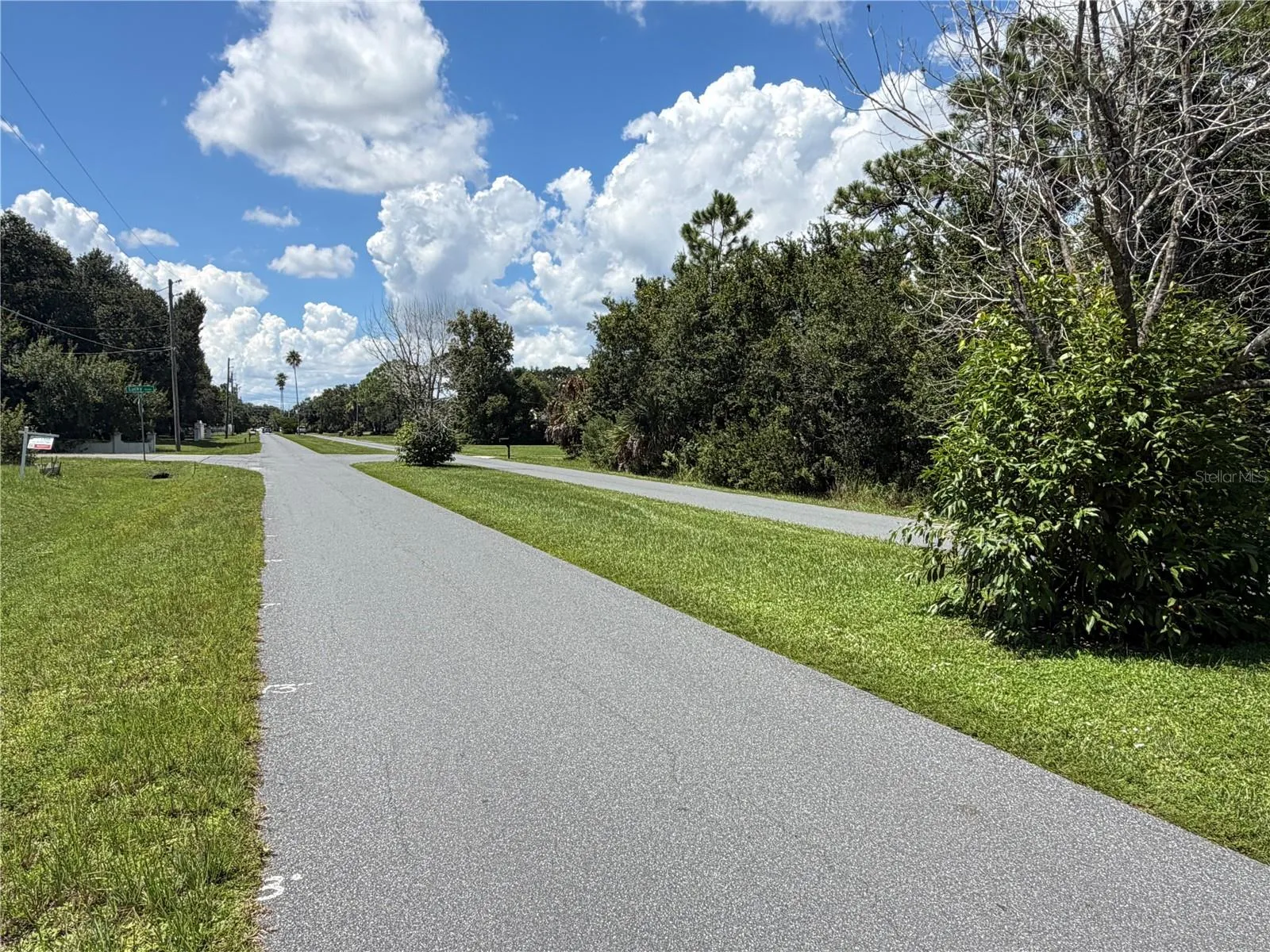 Road View Left