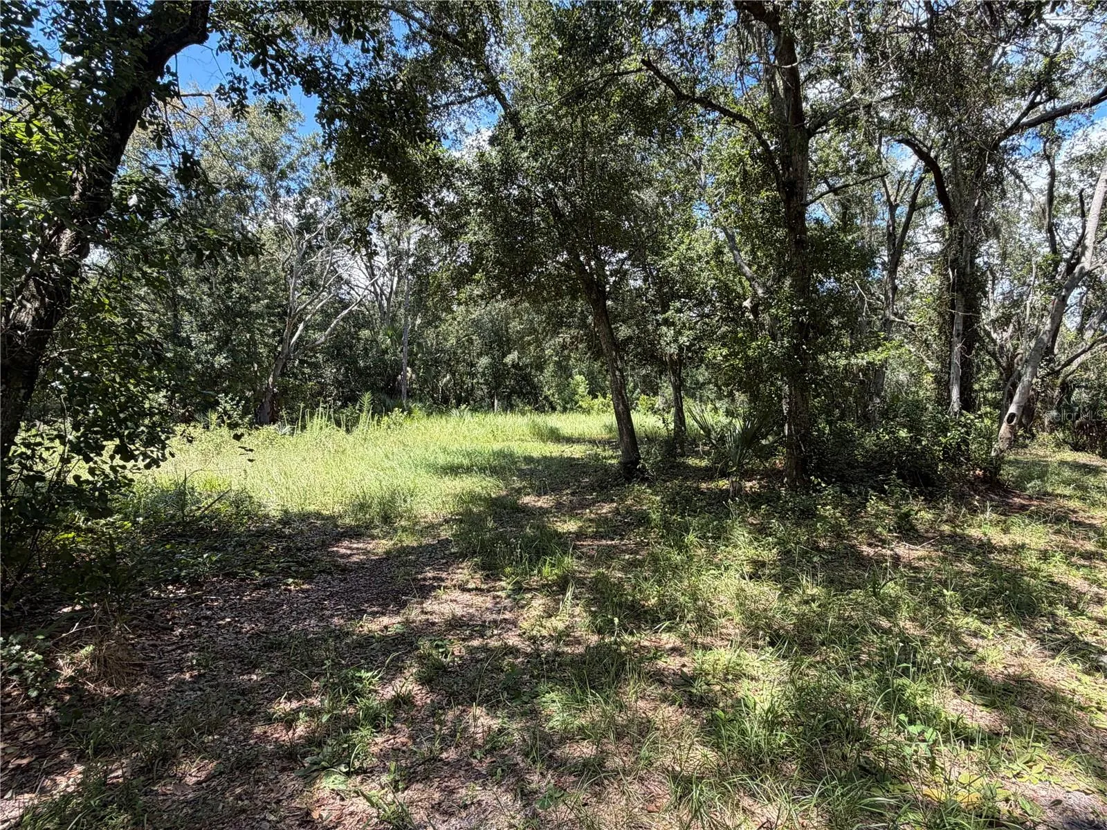 Creek Side Left View 3