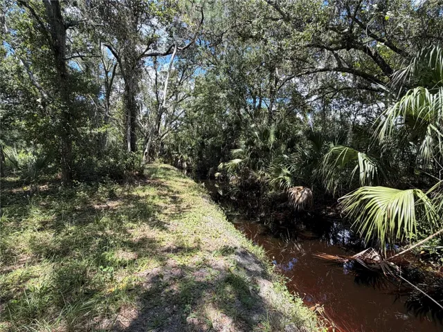 Back Creek View