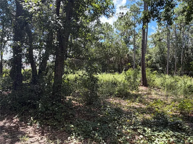 Creek Side Left View 1