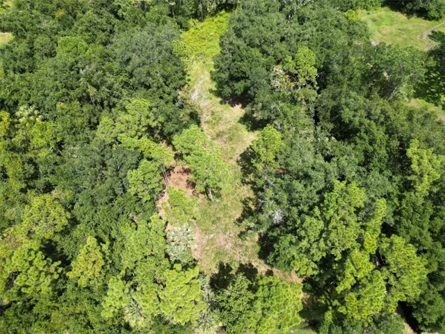 Center Aerial View