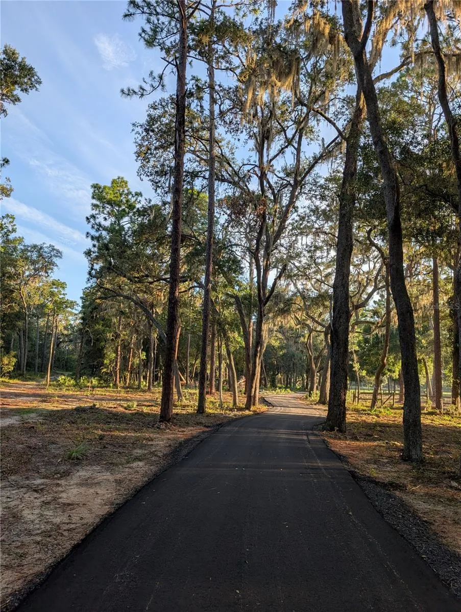 Driveway