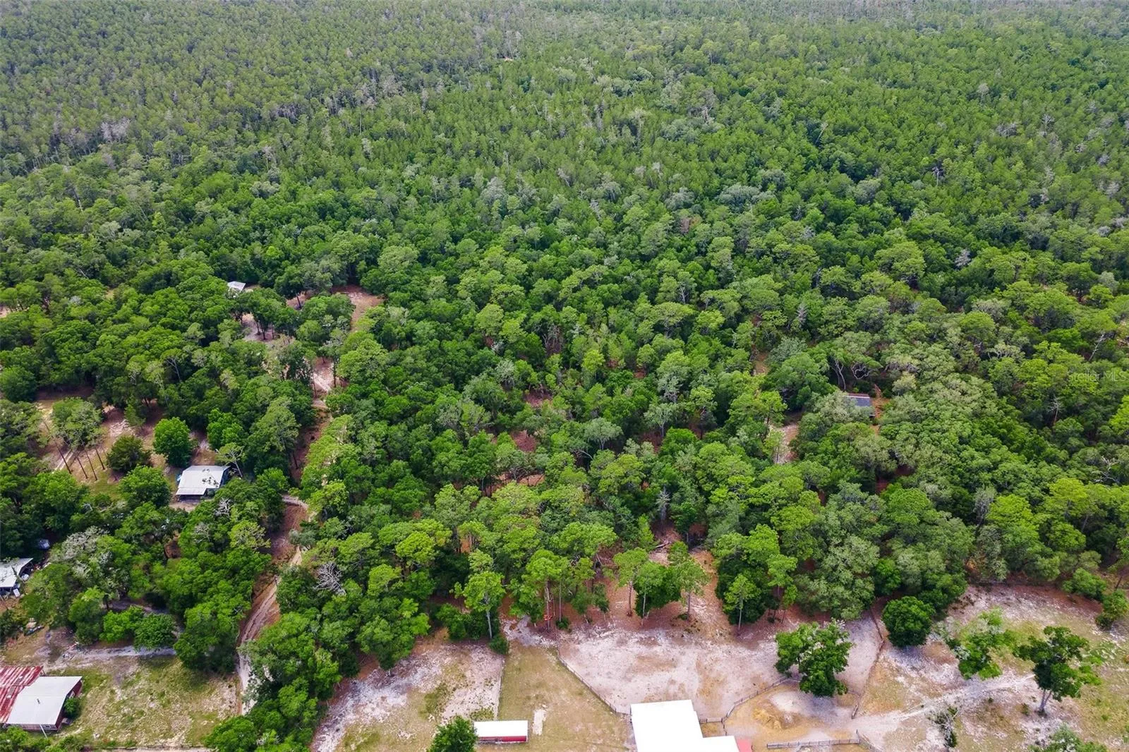 nestled in Ocala National Forest