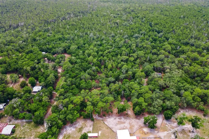 nestled in Ocala National Forest