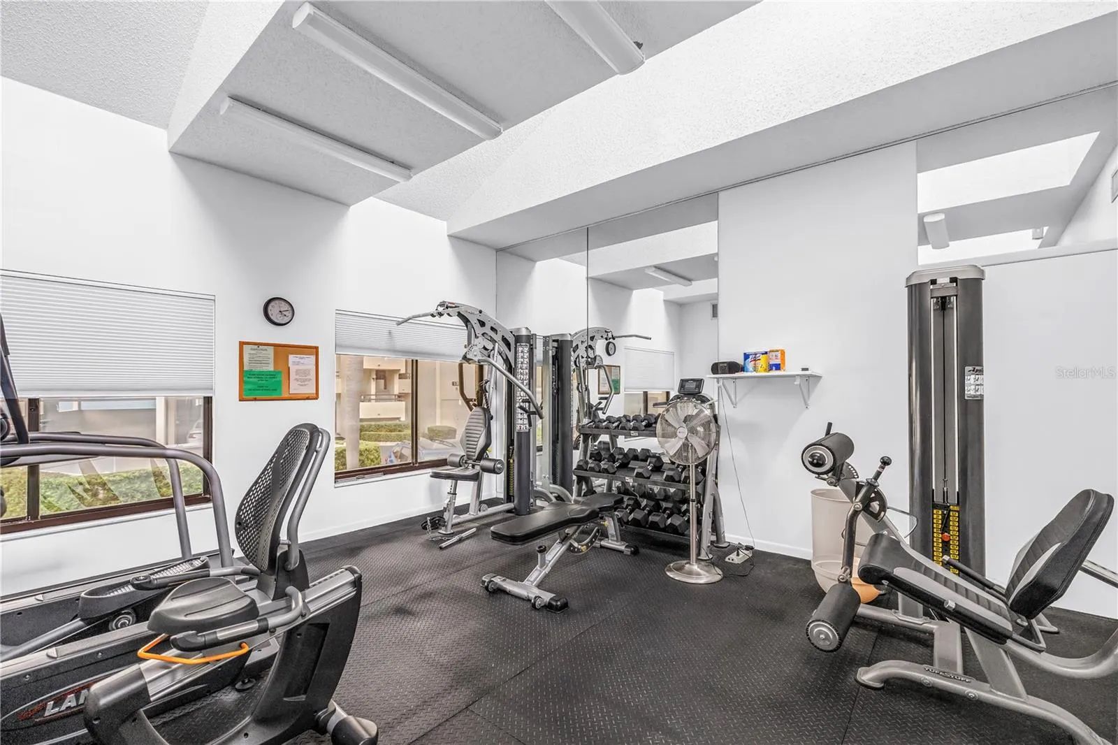 Clubhouse Fitness Room