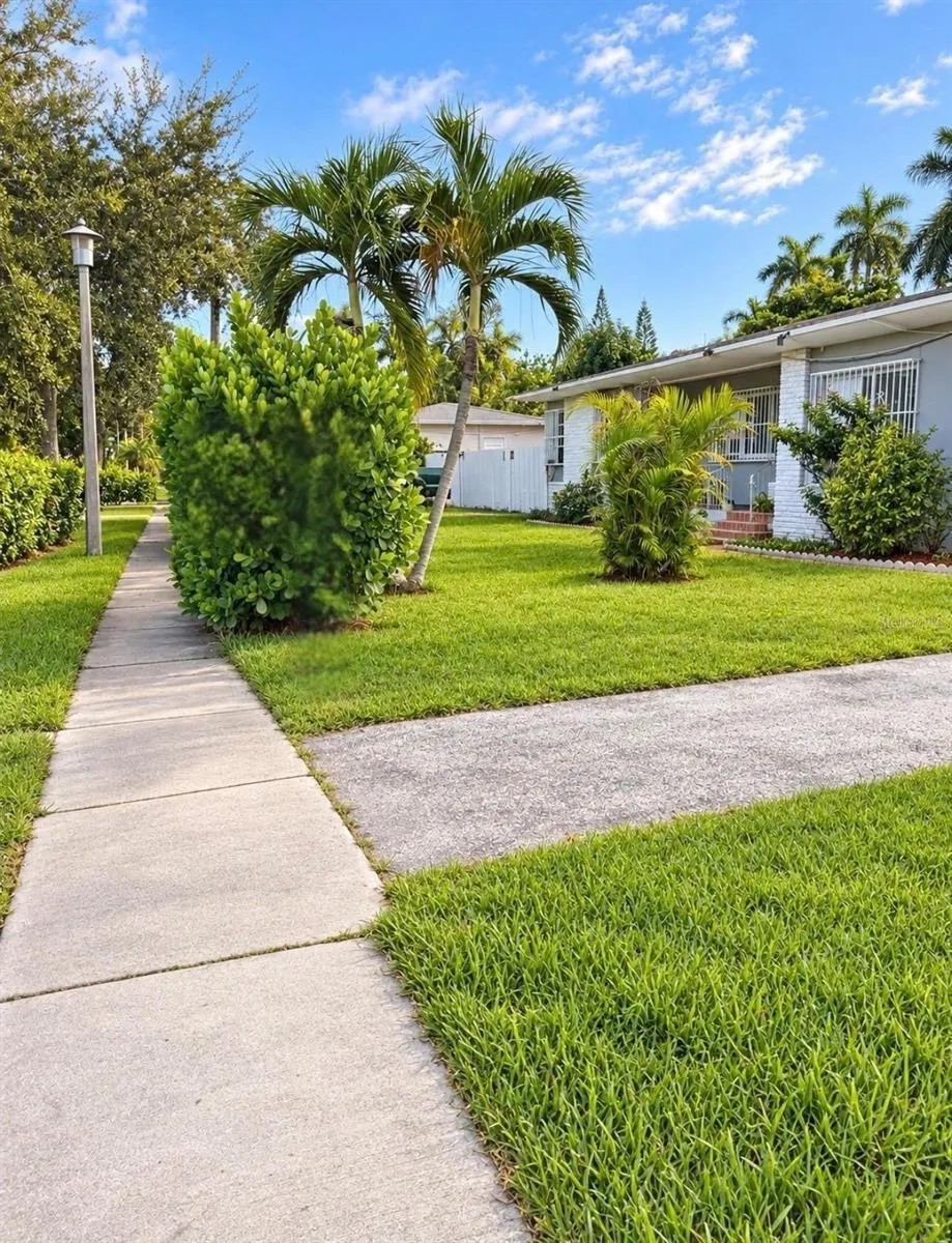 Front yard, view 3
