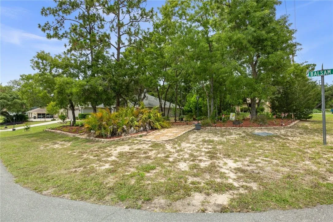 Front and corner of yard
