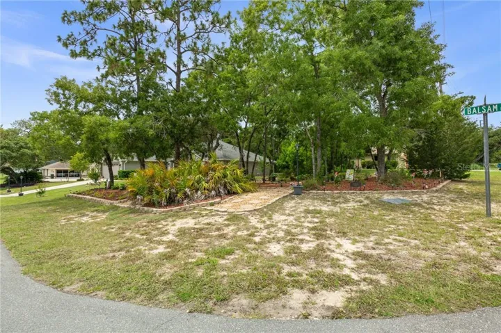 Front and corner of yard