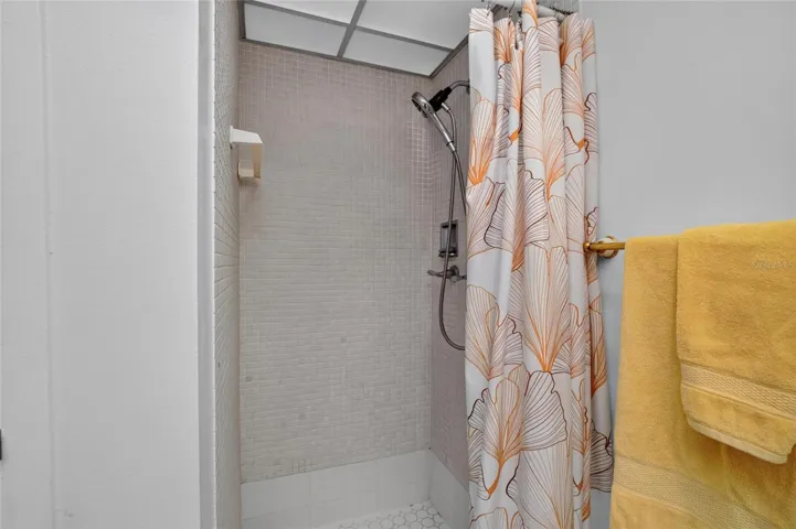 Primary bath shower