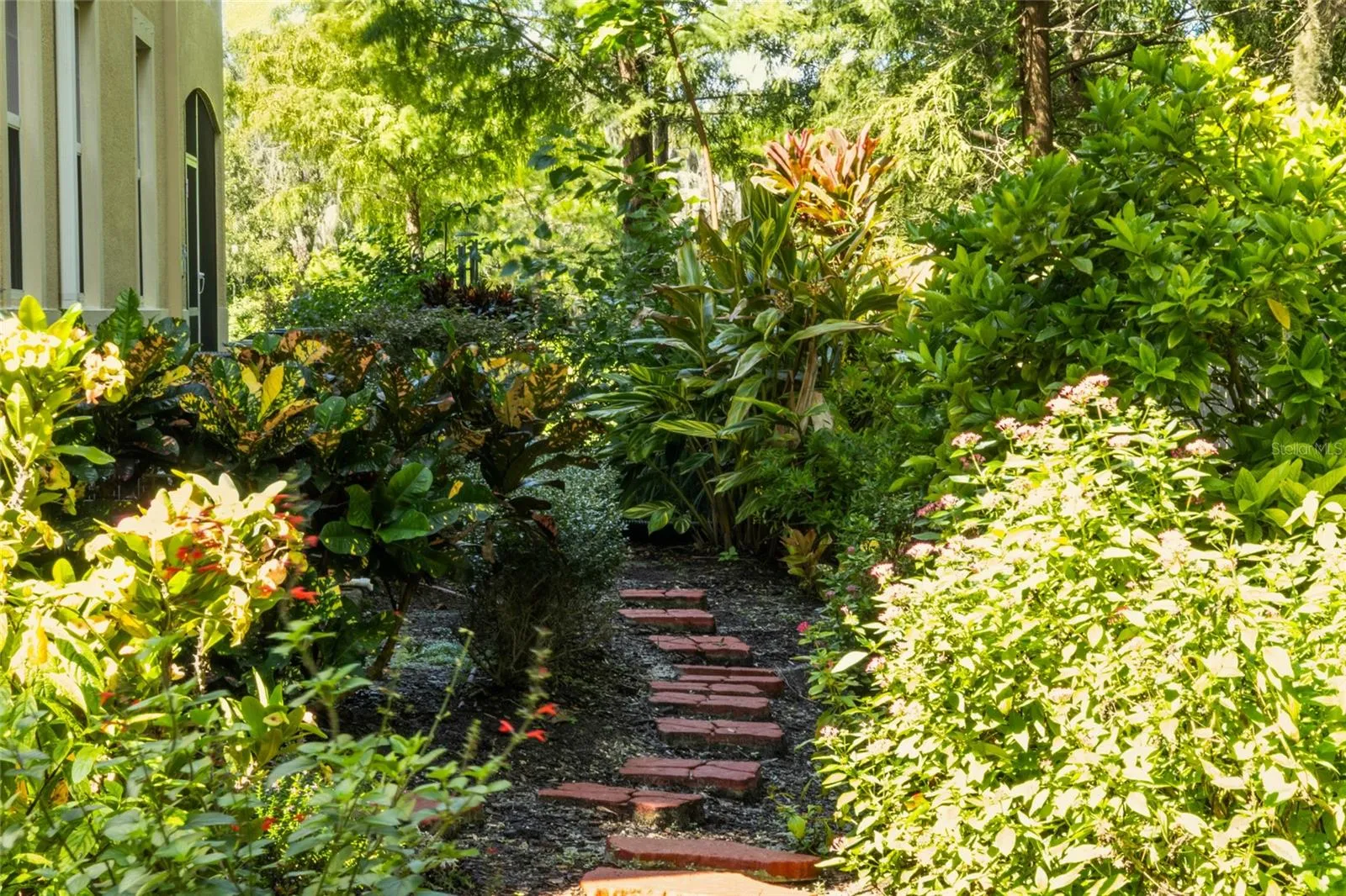 Patio Garden