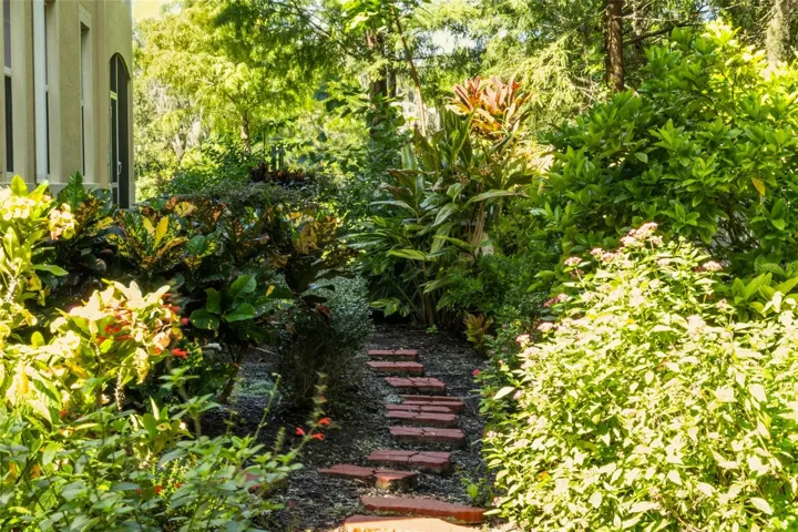 Patio Garden