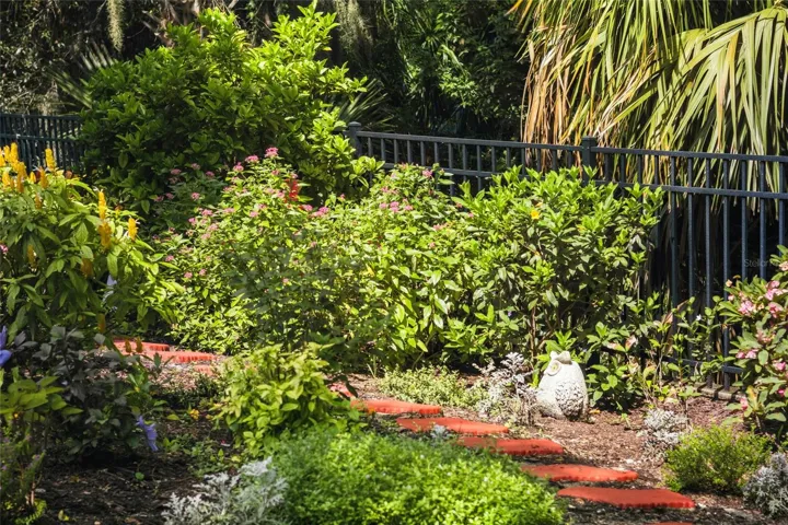 Patio Garden