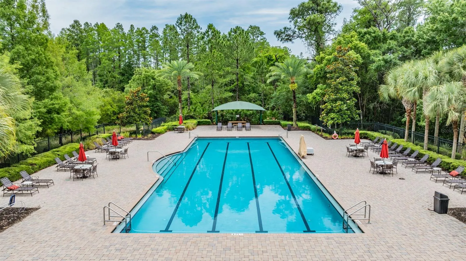 Lap Pool
