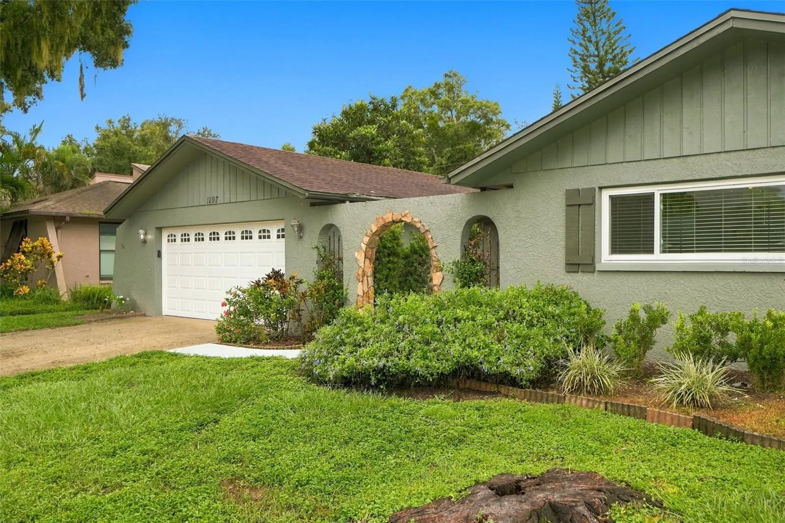 1297 Peach Tree Dr, Dunedin.