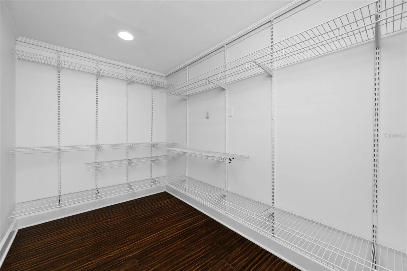 Primary walk -in closet
