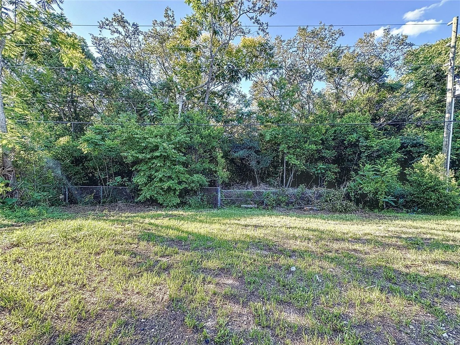 BACKYARD FROM HOUSE