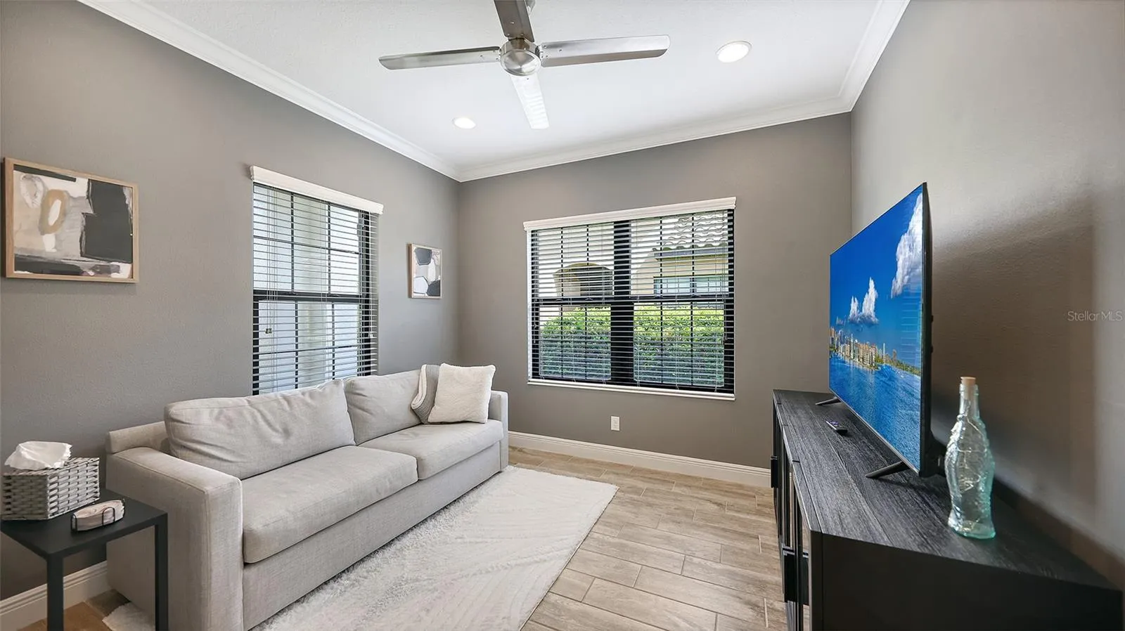 Den/Office/Flex Room