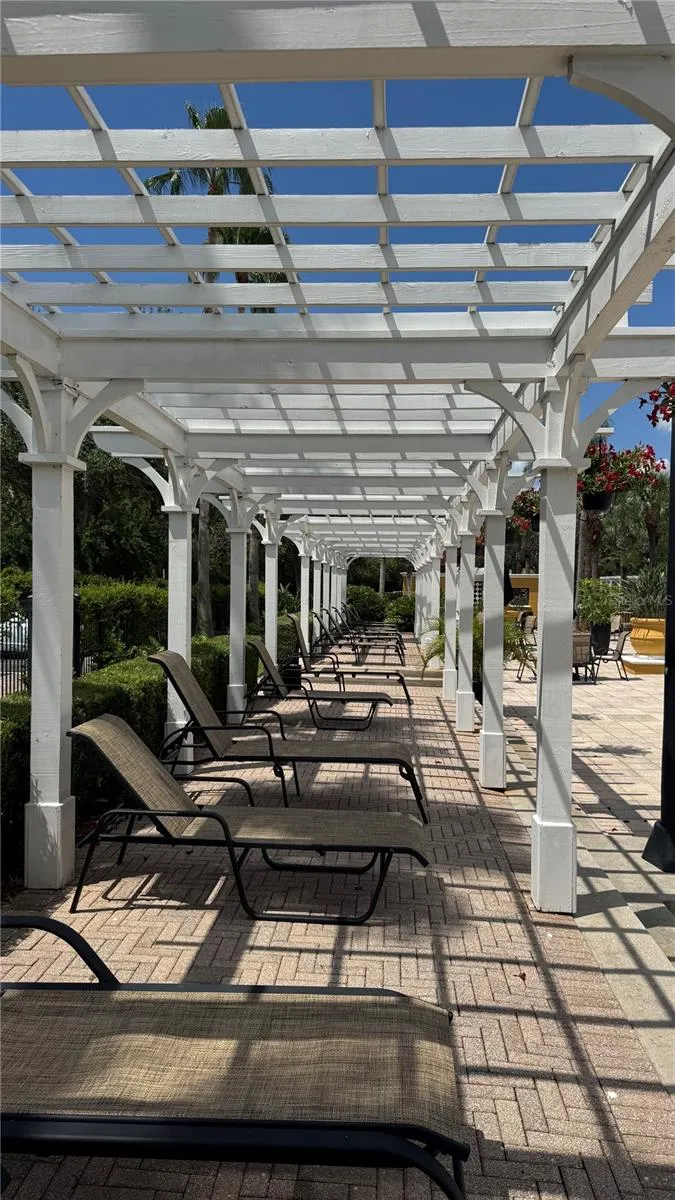 Pool Deck