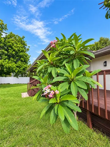Mature tropical landscaping surrounds the backyard for exceptional privacy.