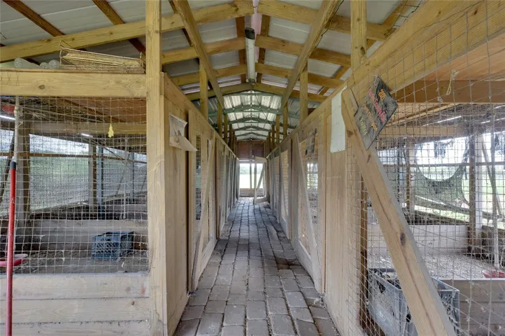Chicken Coop