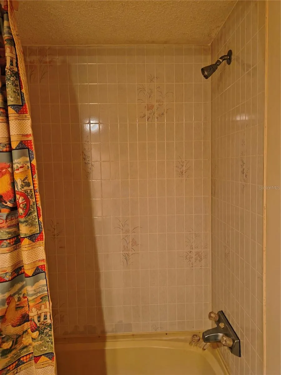 Guest Bath shower or tub