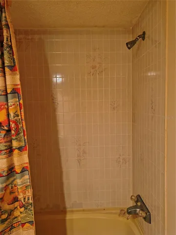 Guest Bath shower or tub