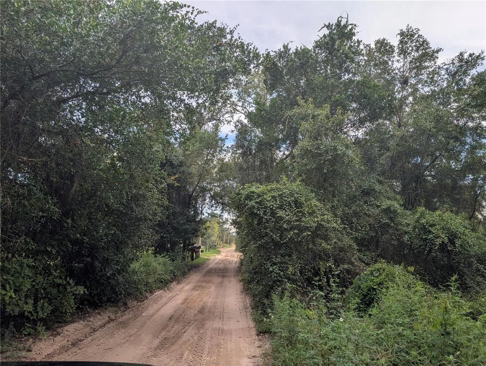 Entry road to the property